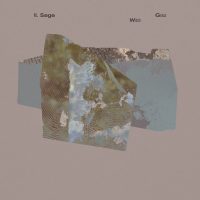 M. Sageが9/26にRVNG Intl.よりリリースするニュー・アルバム『Tender / Wading』より最後の先行シングル「Witch Grass」を映像三部作の最終章となるMVと共に公開。故郷コロラドで育まれた生命力とやさしさを音に映した、ギター主体の瑞々しい1曲。