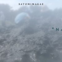 Satomimagaeが最新作から「Nami」のMVを公開、参加したPALETOWNが10周年記念にして新たにローンチするレーベルのコンピのリリパ、そしてpicinicの初来日公演に出演
